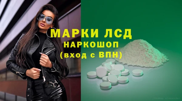 PSILOCYBIN Михайлов