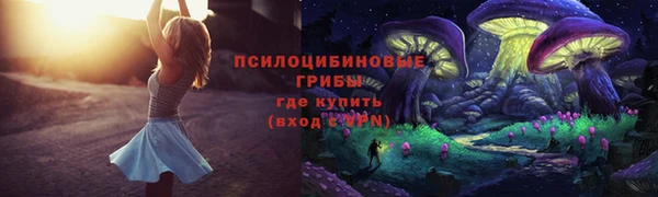 PSILOCYBIN Михайлов