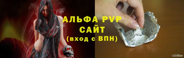PSILOCYBIN Михайлов