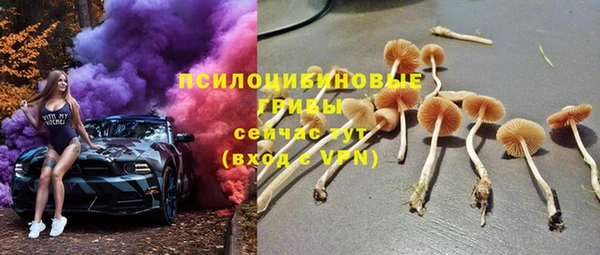 PSILOCYBIN Михайлов