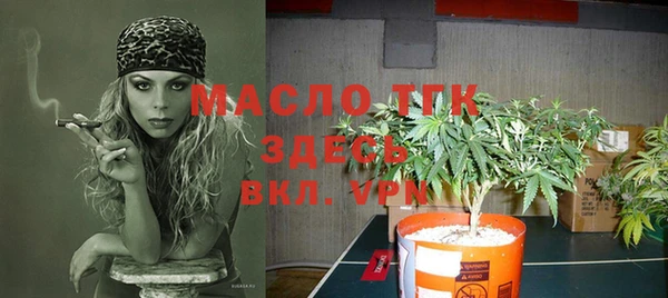 гашик Михайловка