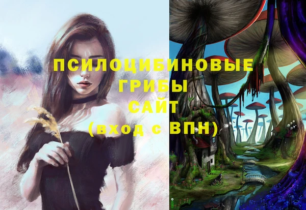 PSILOCYBIN Михайлов